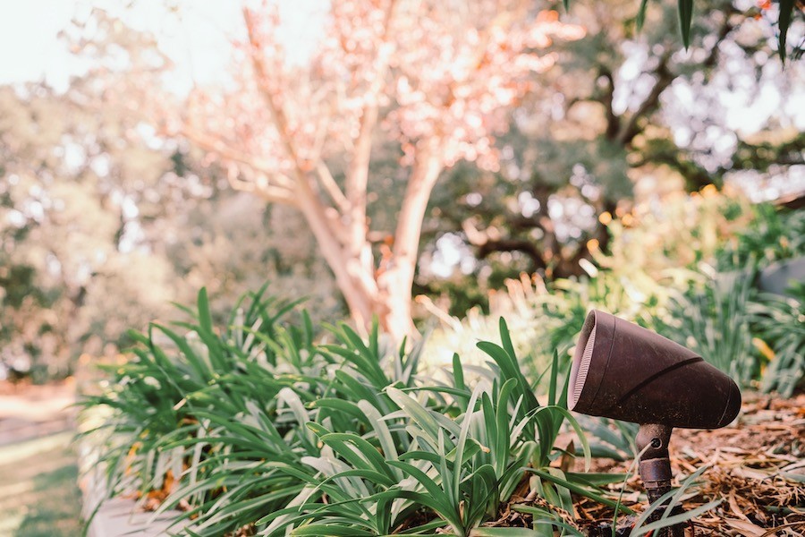 A Sonance outdoor speaker is hidden in grass and landscaping.