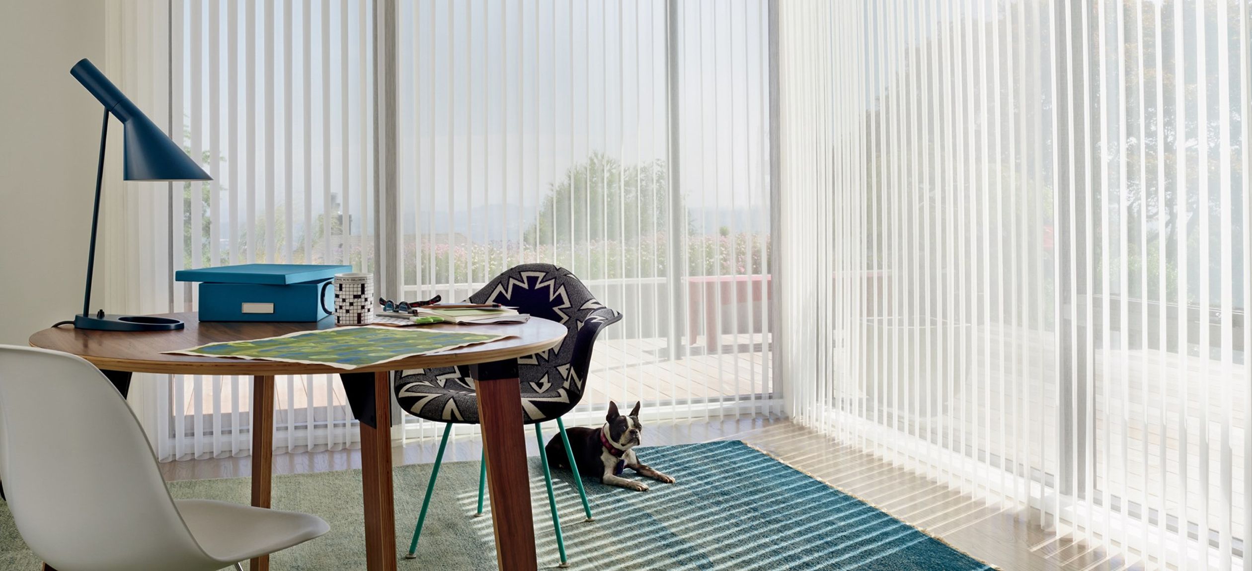 Dog sitting on carpet with white blinds on windows around corner of room